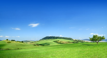 Fototapeta na wymiar Idyllic landscape, view of green fields and blue sky
