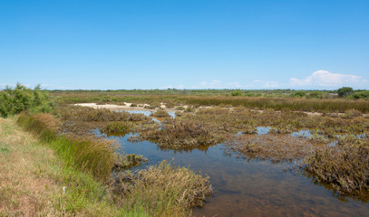 Camargue in France