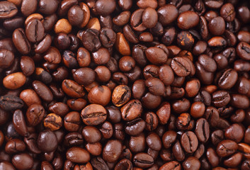 Fresh Coffee Beans.