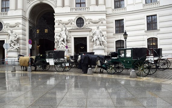 Carts on the streets. Fiacre. Coach. Horse-drawn carriage in the city. Pair of horses. Vienna. Austria