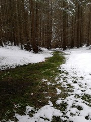 cofharz, Winterlandschaft