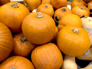Réolte de potiron citrouille orange pour Halloween