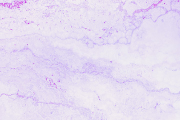 Abstract blue natural marble texture background High resolution or design art work,White stone floor pattern for backdrop or skin luxurious.