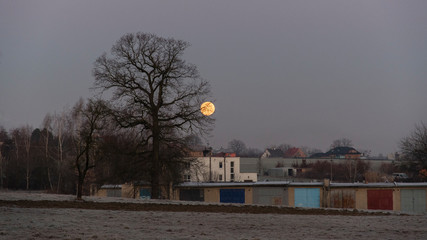 A full moon behind a tree and garages.