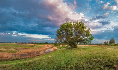Obraz premium landscape with green field and blue sky