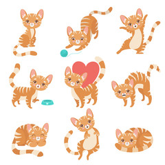 Fototapeta premium Cute Funny Red Cat Character in Various Poses and Situations Set Vector Illustration
