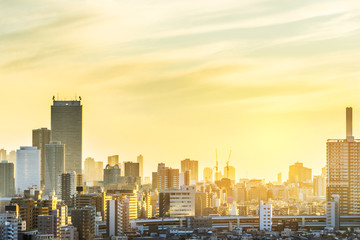 Obraz premium city skyline aerial view in Tokyo, Japan