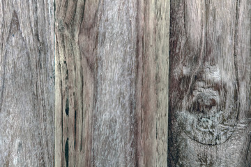 Fototapeta premium wood texture with natural patterns