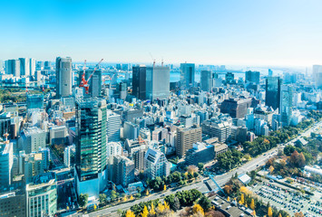 Fototapeta na wymiar panoramic city skyline aerial view in Tokyo, Japan