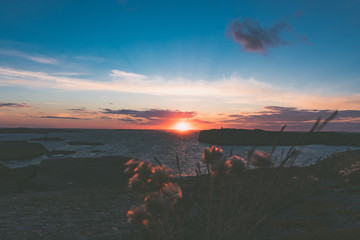 Ausblick von einer Klippe über Gräser auf die Felsenküste und das offene Meer im Sonnenuntergang