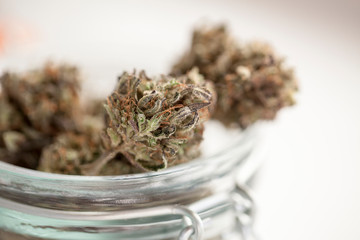 medical cannabis. hemp buds