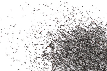 Blue poppy seeds macro isolated on white background and texture, top view