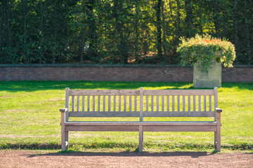 Empty Wooden Bench in Sunny Green Park.