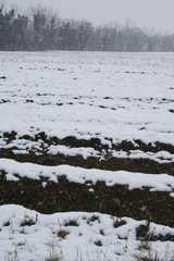 Plowed field covered by snow in winter season. Italian countryside landscape
