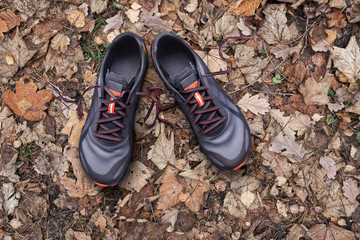 Top view of gray and orange trainers on a autumn leaf background.