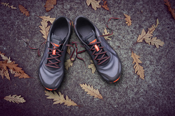 Top view of gray and orange trainers on a tarmac and leaf background.