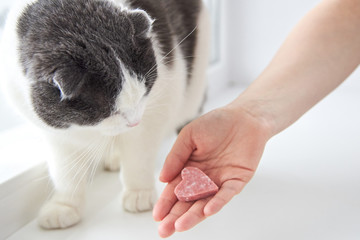 The owner gives the cat a slice of sausage in the shape of a heart