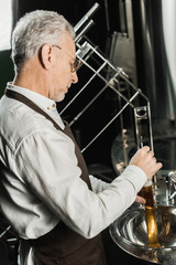 professional senior brewer examining beer in flask in brewery
