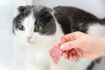 The owner gives the cat a slice of sausage in the shape of a heart