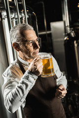 handsome senior owner testing beer in brewery