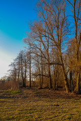 Entwässerungsgraben fließt an den Bäumen entlang