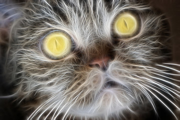 Fractal portrait of a domestic brown cat with yellow eyes on a contrasting black background