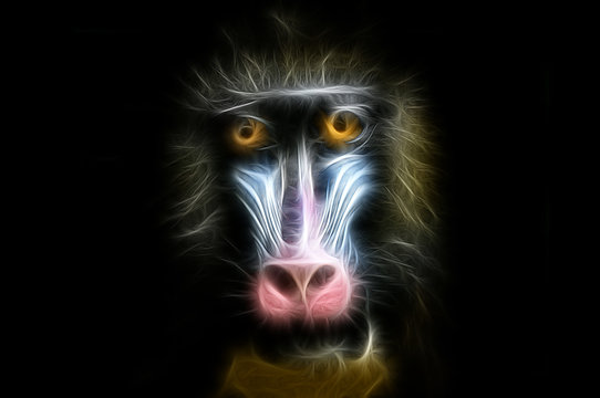 Fractal image of a colored monkey on a contrasting black background