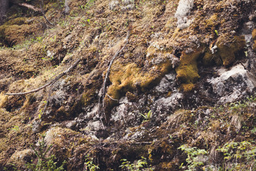 Stones and grass vintage background
