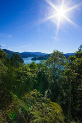 Queen Charlotte Drive