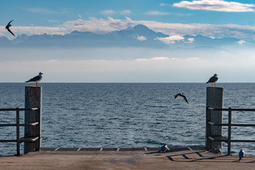 Montagnes suisses et lac l&eacute;man