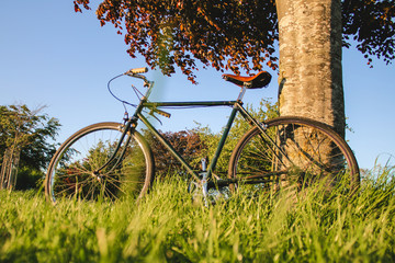 Vintage Bike in Long Grass