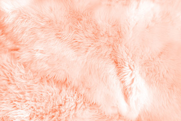 Living coral fur close up background. Texture.