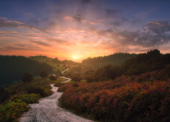 path in the mountains with beautiful sunset - Powered by Adobe