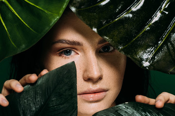 attractive girl with freckles on face posing with tropical leaves isolated on green