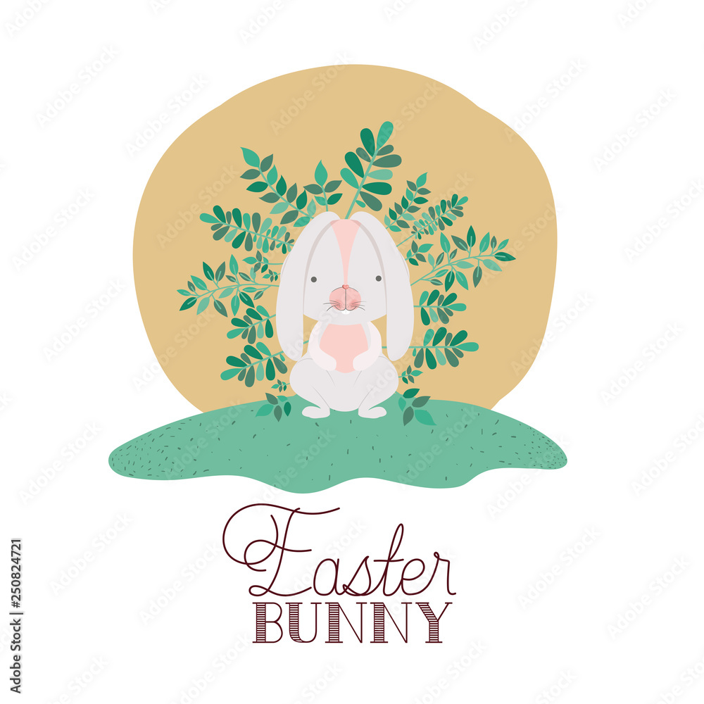 Sticker easter bunny label isolated icon