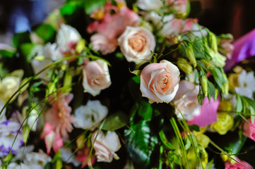 Obraz na płótnie Canvas Beautiful pink flowers in vase