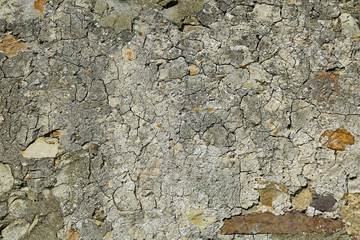 alte Mauer