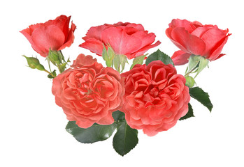 decoration from five large orange roses with leaves