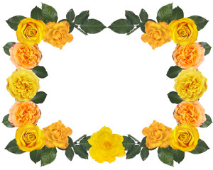 gold rose frame on white background
