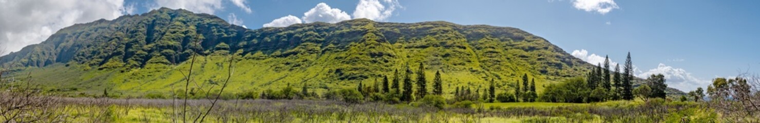 Fototapeta na wymiar Panoramic view of mountains in Oahu Waianae Kai Forest Reserve