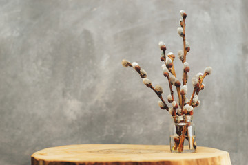 Willow in vase on a old wooden table. - obrazy, fototapety, plakaty