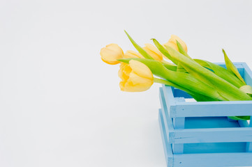 Womans holiday yellow Spring tulips with an alarm clock and blue wooden cart box isolated on white background.Several objects Top horizontal view copyspace