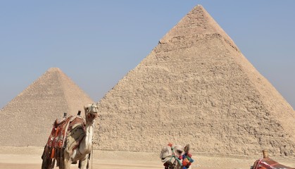 Camels with the Great Pyramid of Khufu (L) and the Pyramid of Khafre
