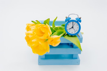 Womans holiday yellow Spring tulips with an alarm clock and blue wooden cart box isolated on white...