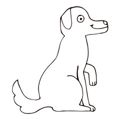 Cartoon doodle linear sitting dog isolated on white background. Vector illustration.  