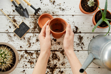 cropped view of gardener holding clay flowerpot among plants, tools and watering can
