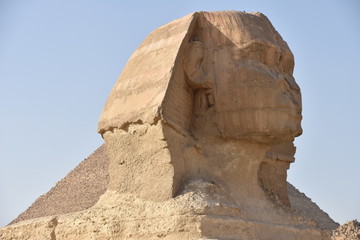 Fototapeta na wymiar Great Sphinx Foreground, Great Pyramid Backdrop, Full-Frame, Giza, Egypt
