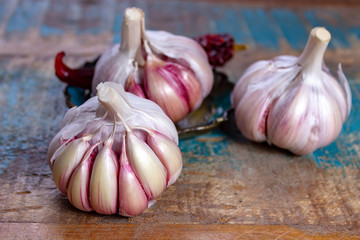 Three bulbs of fresh violet French garlic close up