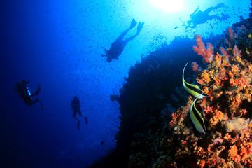 Fototapeta na wymiar Scuba divers explore coral reef 