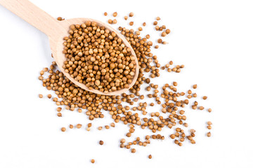 coriander seeds in wooden spoon isolated on white background.top view